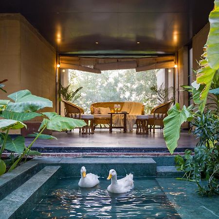 Elivaas Hari Bagh 4 Bhk Villa With Gaming Zone & Art Nook 斋浦尔 外观 照片