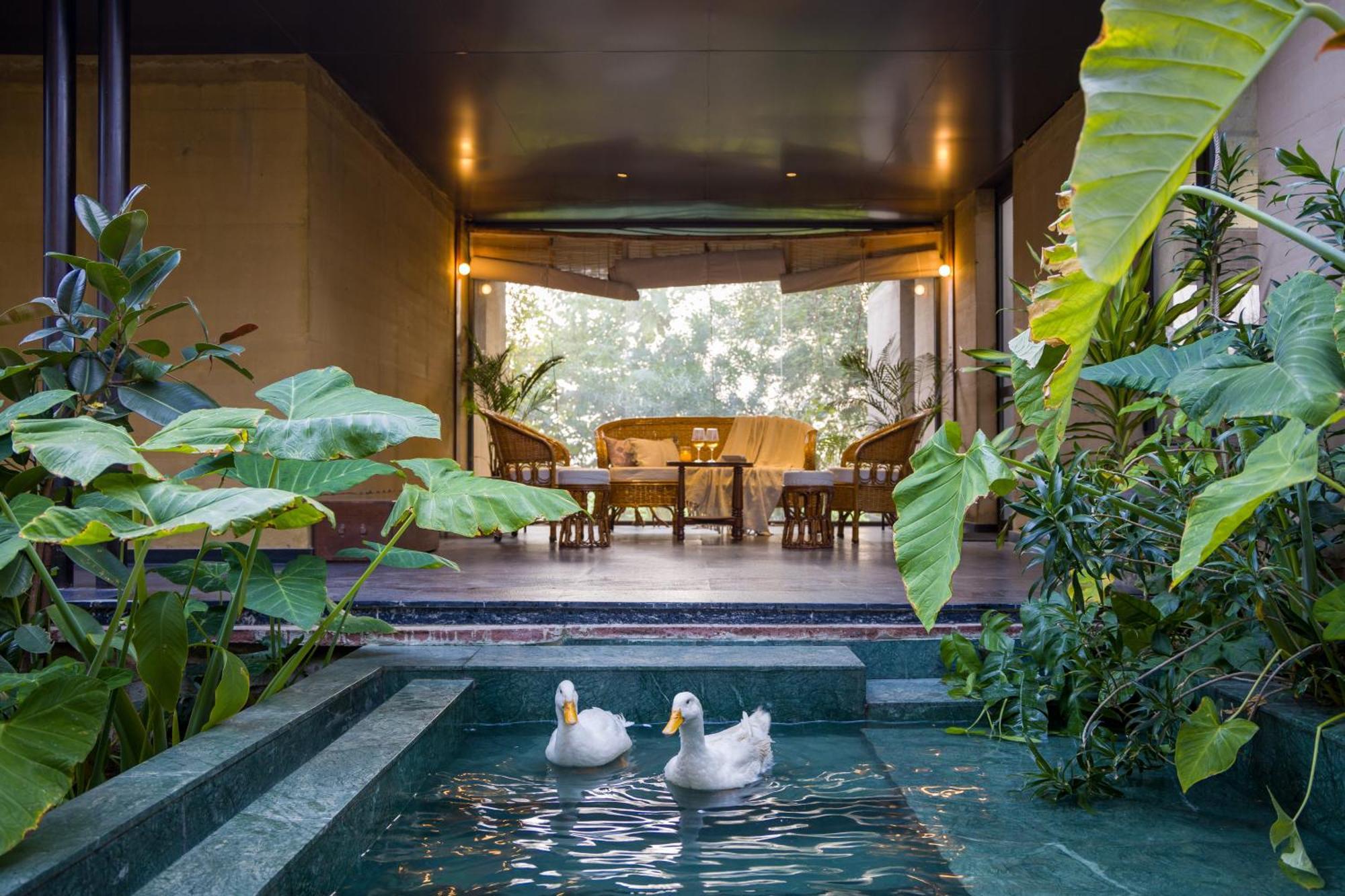 Elivaas Hari Bagh 4 Bhk Villa With Gaming Zone & Art Nook 斋浦尔 外观 照片