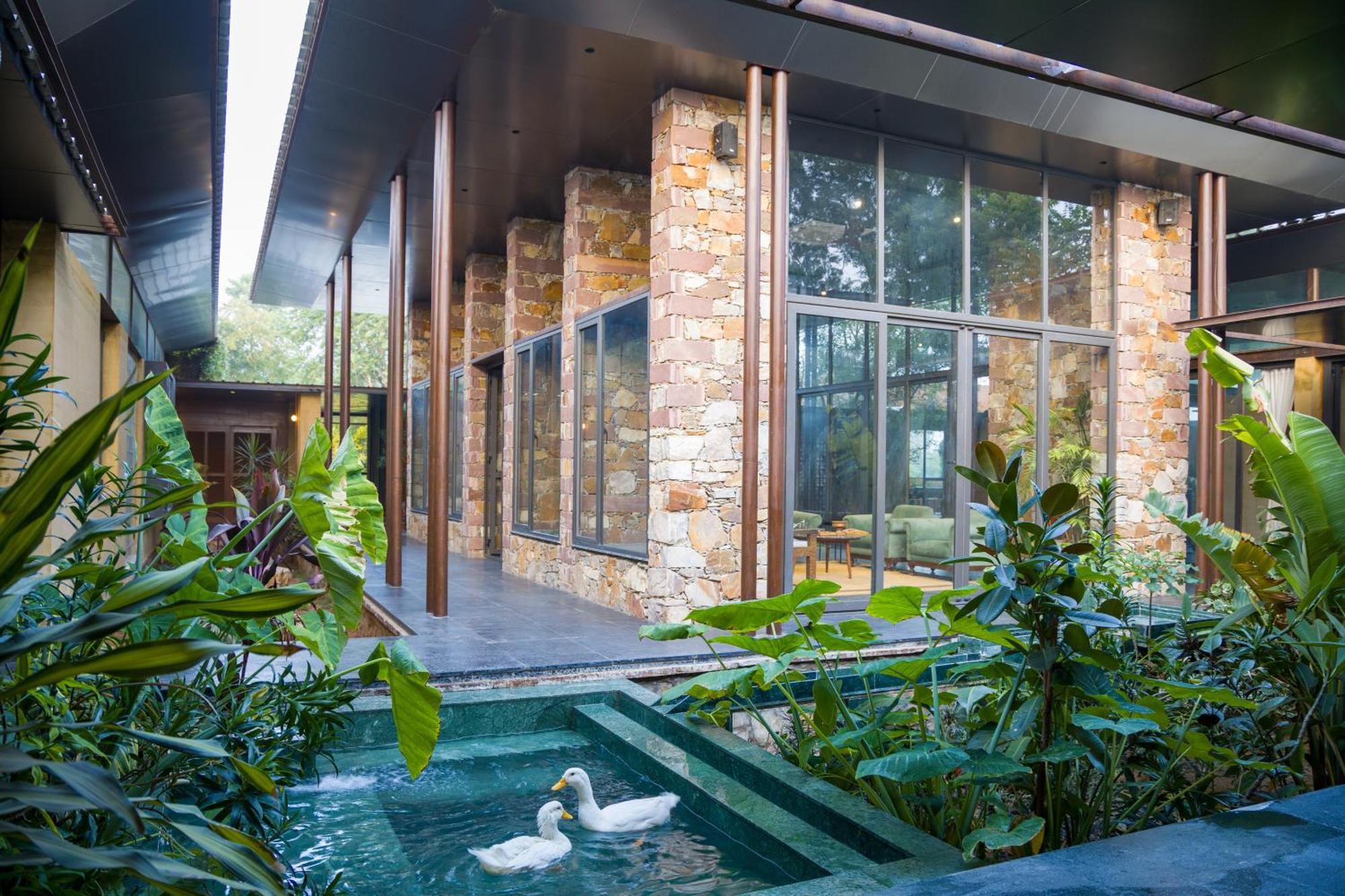 Elivaas Hari Bagh 4 Bhk Villa With Gaming Zone & Art Nook 斋浦尔 外观 照片