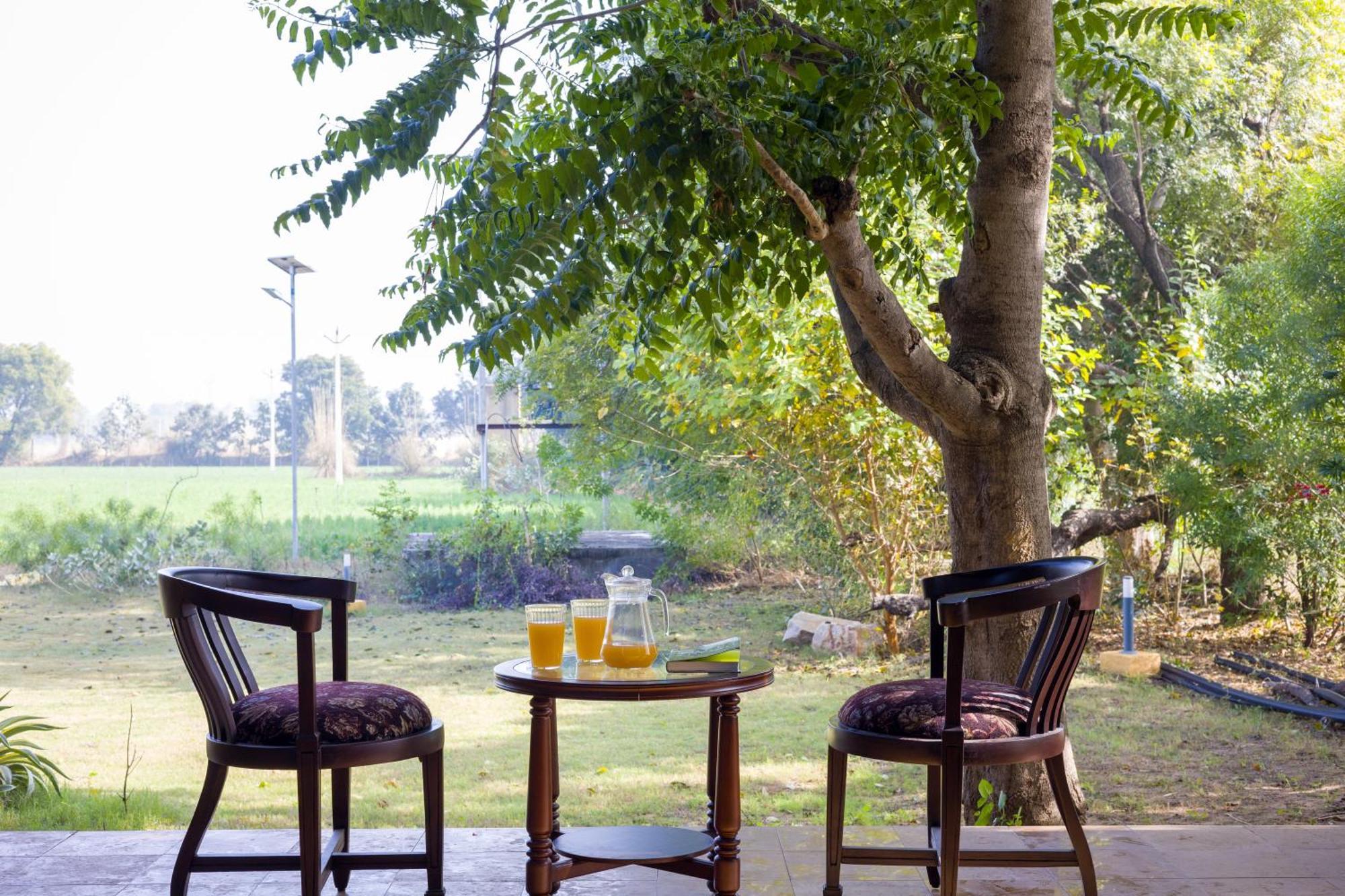 Elivaas Hari Bagh 4 Bhk Villa With Gaming Zone & Art Nook 斋浦尔 外观 照片